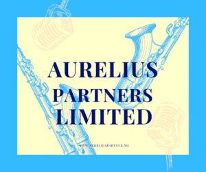 Public-Private Partnerships: Risks