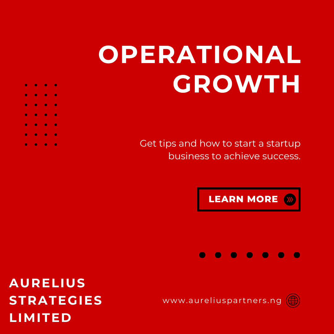 How International Companies Can Expand : Secure 2026 Expert